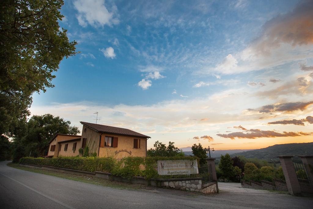 Agriturismo La Vecchia Fattoria Orte Zimmer foto